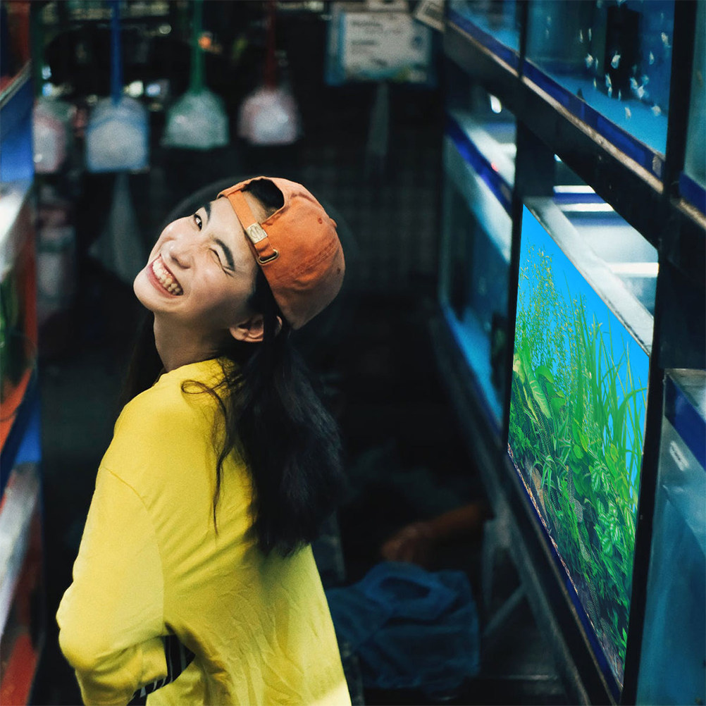 Aquarium Fish Poster - Balık Tankı Arka Plan Kağıdı Kalınlaştırılmış