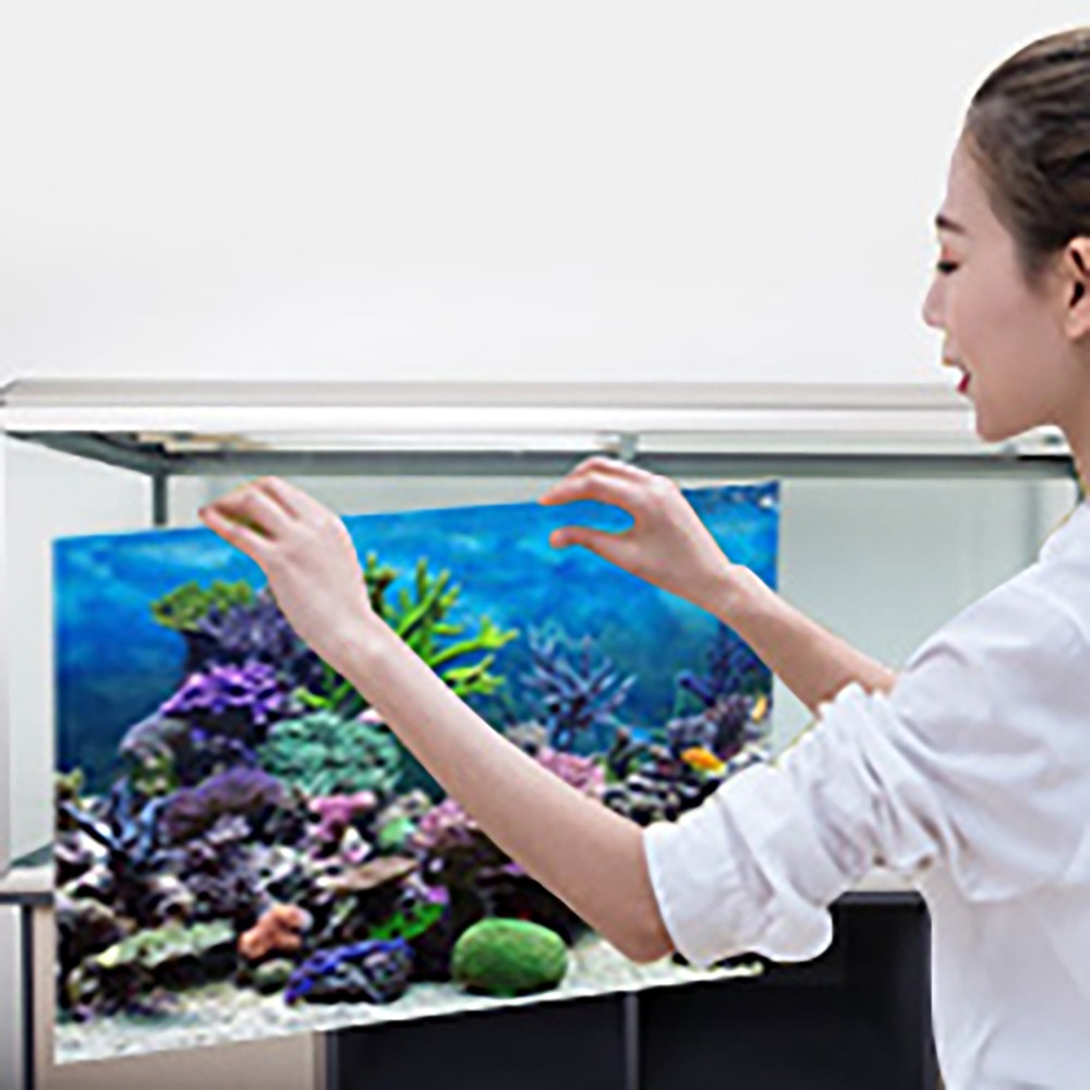 Aquarium Fish Poster - PVC Akvaryum Arka Plan Posteri Yapışkanlı