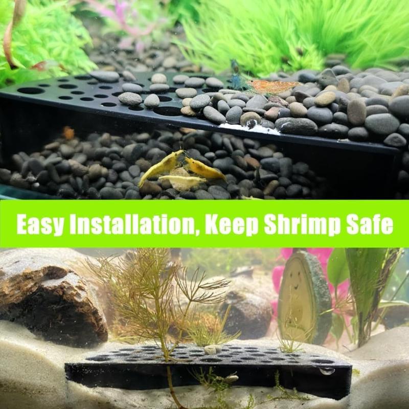 Aquarium Fish For Beginners - Küçük Balıklar İçin Yeni Akvaryum Gizli