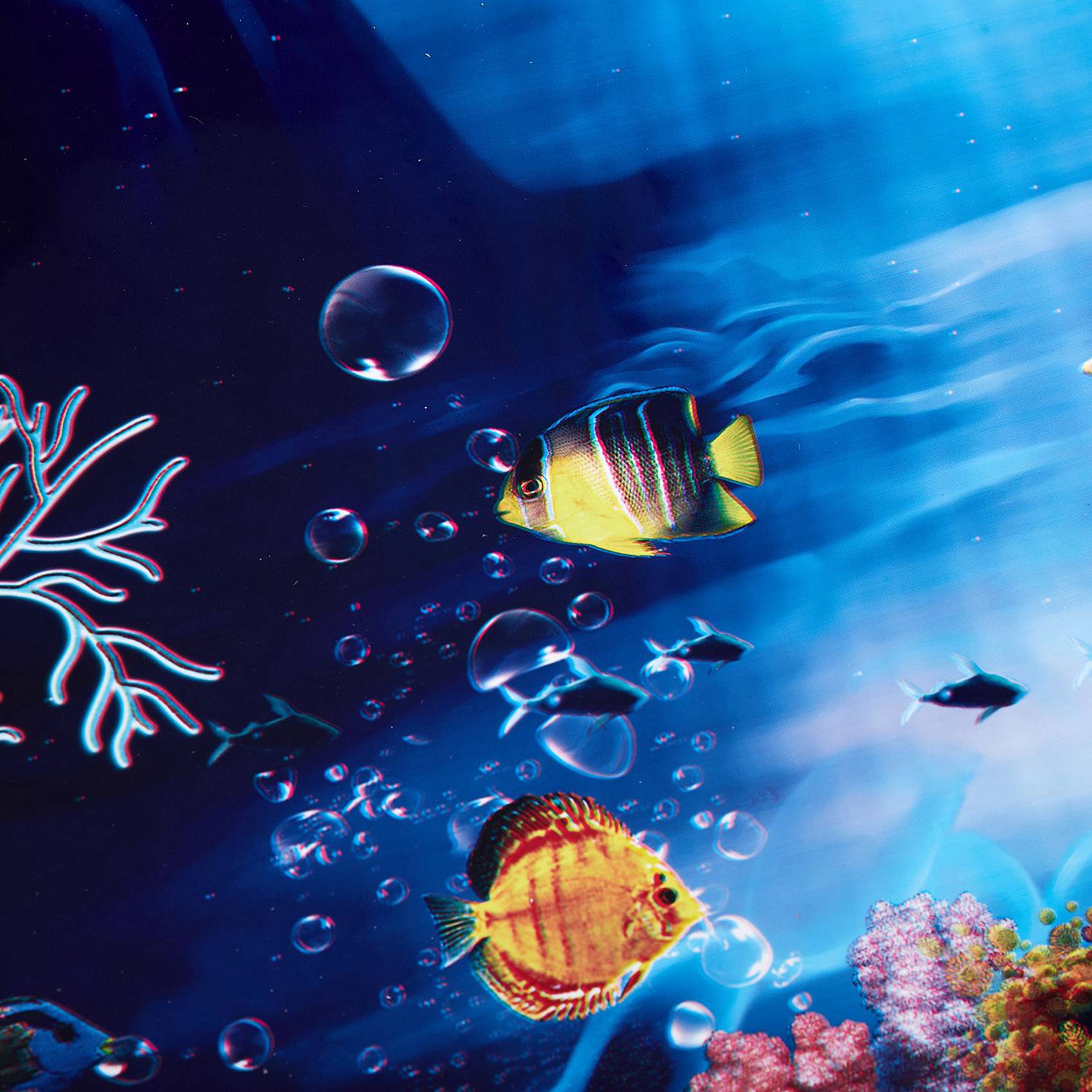 Aquarium Fish Poster - 2X Mavi Taze Deniz Arka Planı