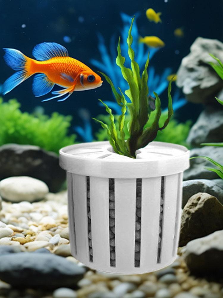 Stabil Balık Tankı Bitki Kabı  - Aquarium Fish Restaurant incelemesi ve fiyatı