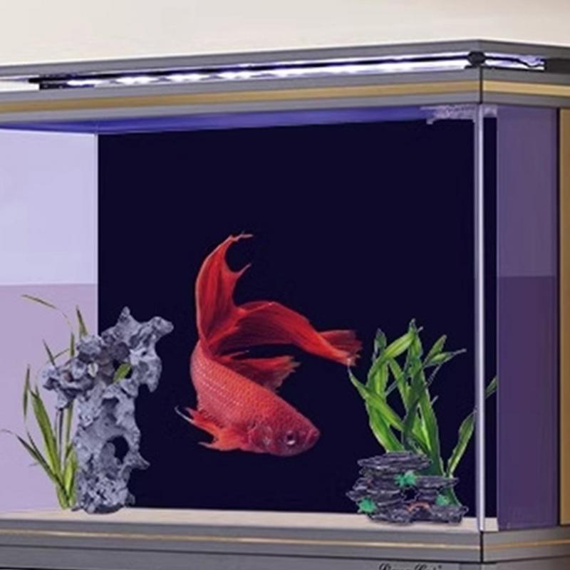 Siyah akvaryum arka plan duvar - Aquarium Fish Poster incelemesi ve fiyatı
