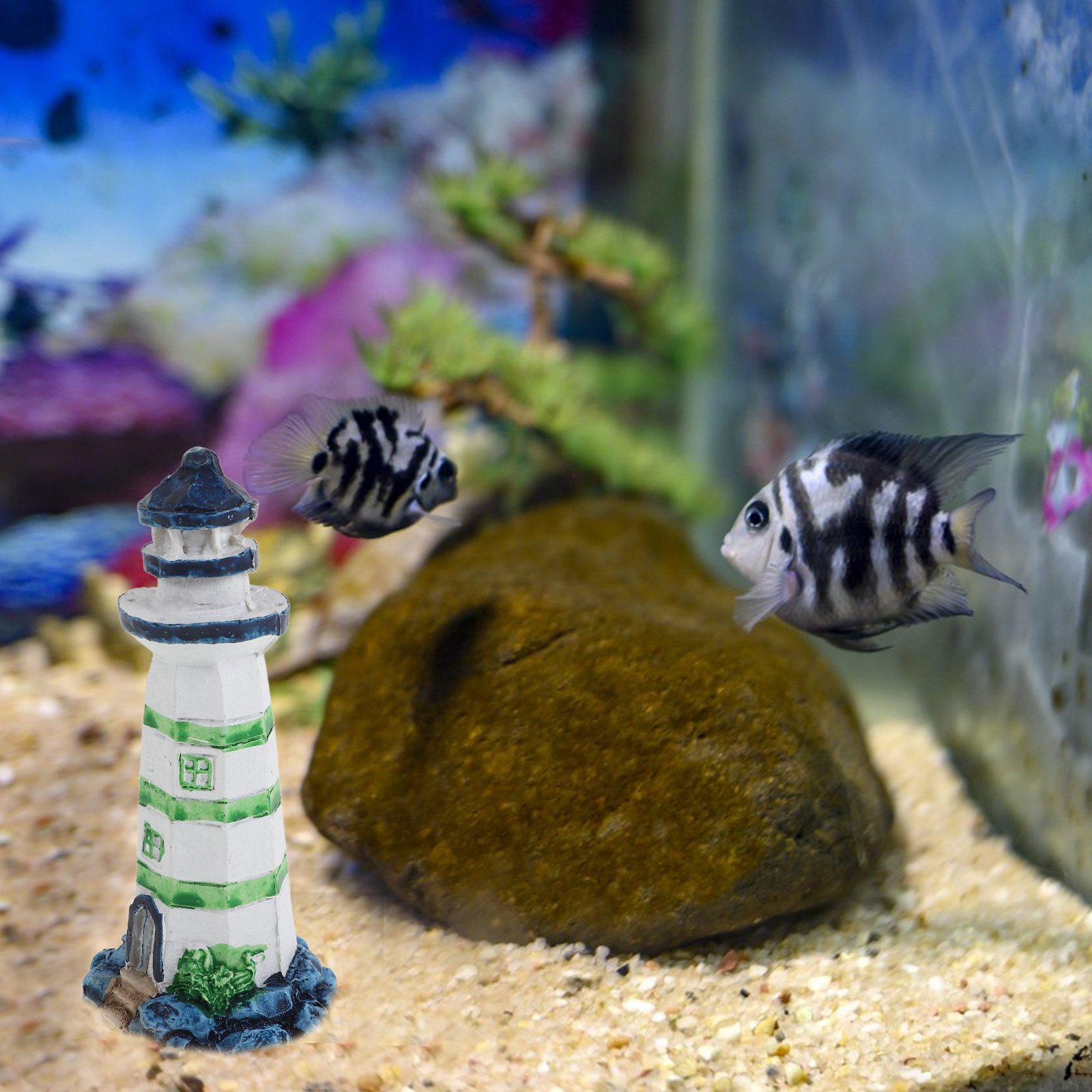 1 Adet Reçine Deniz Feneri Akv - Aquarium Fish Restaurant incelemesi ve fiyatı