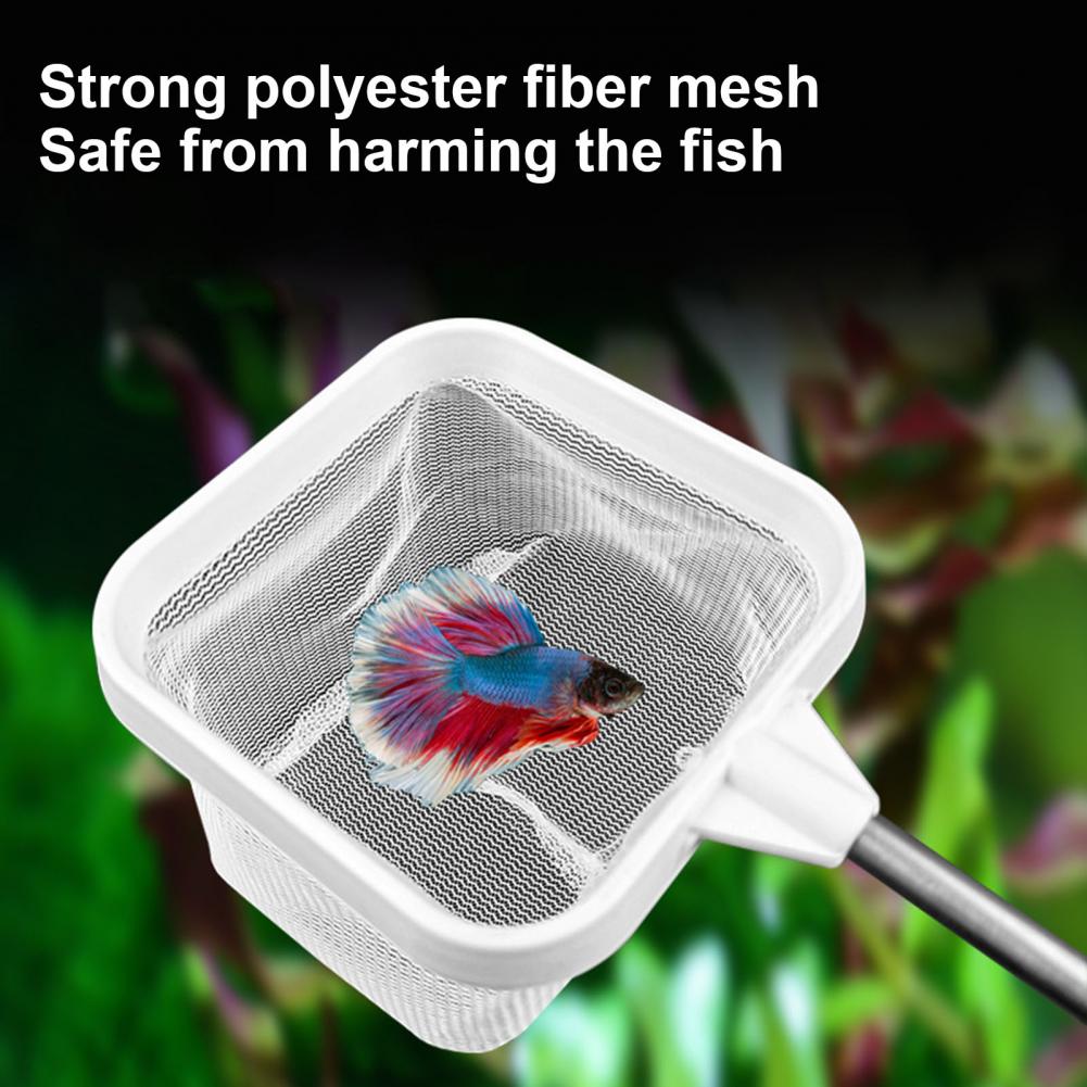 20-46cm balık tankı ağı telesk - Fish Net Handle incelemesi ve fiyatı