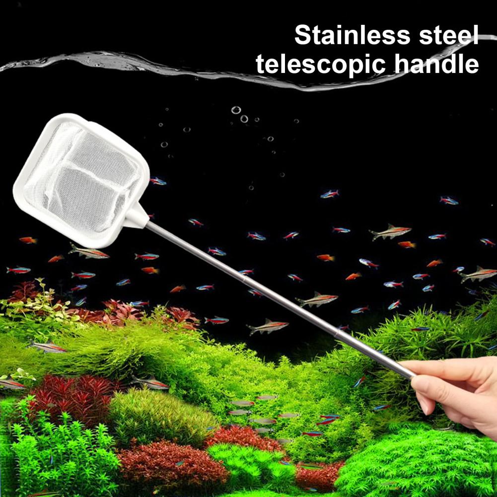 20-46cm balık tankı ağı telesk - Fish Net Handle incelemesi ve fiyatı