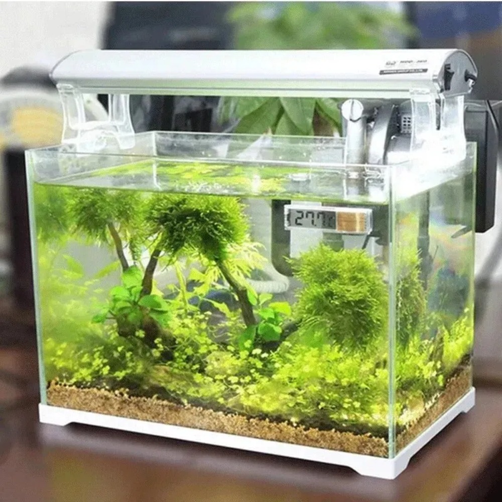 1 adet akvaryum termometresi e - Aquarium Thermometer incelemesi ve fiyatı