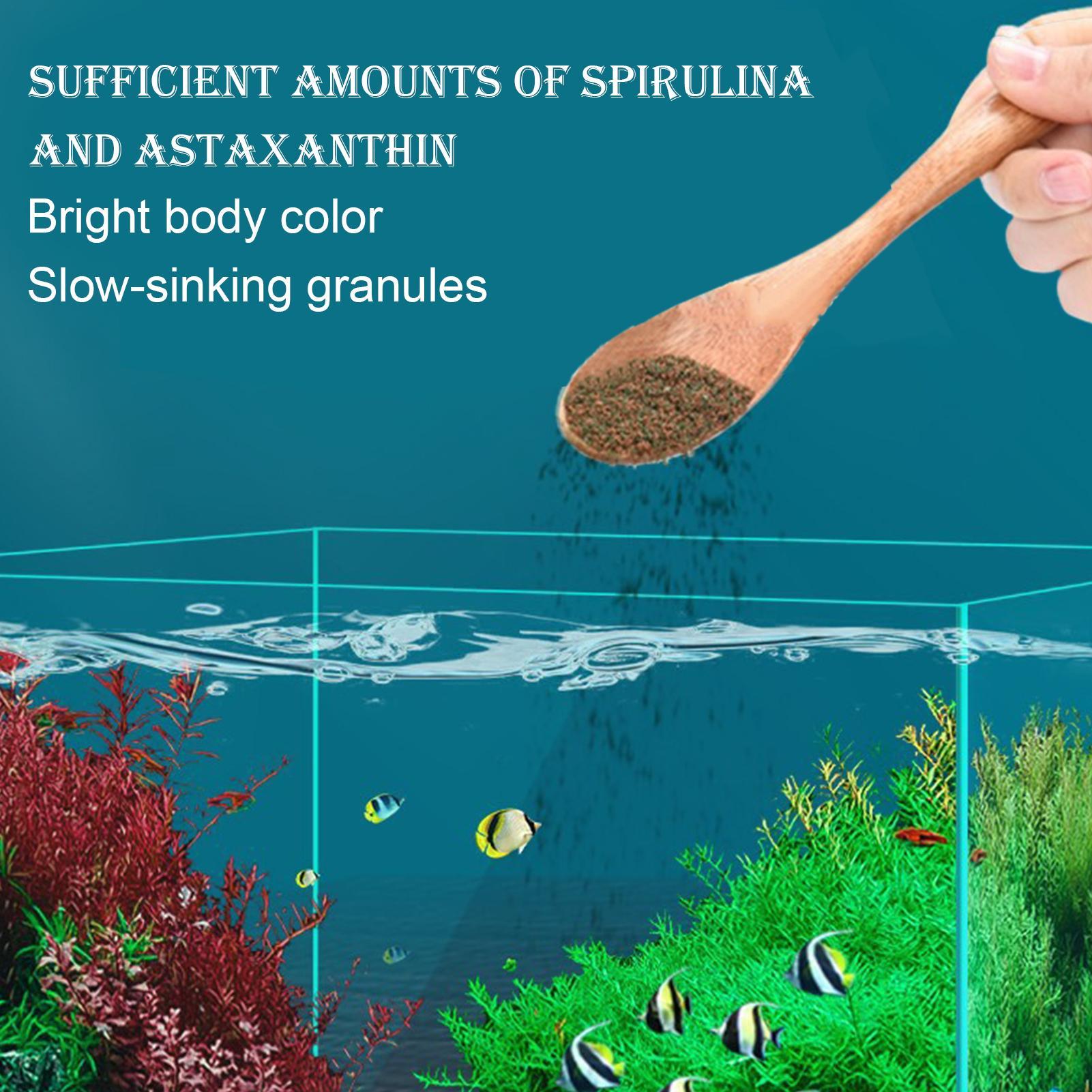 Betta Yemi Süs Balığı Yemi Akv - Aquarium Fish Restaurant incelemesi ve fiyatı