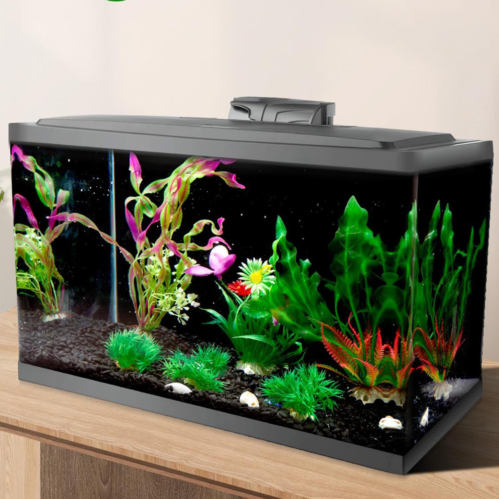 Balık Tankı Arka Planı Statik  - Aquarium Fish Poster incelemesi ve fiyatı
