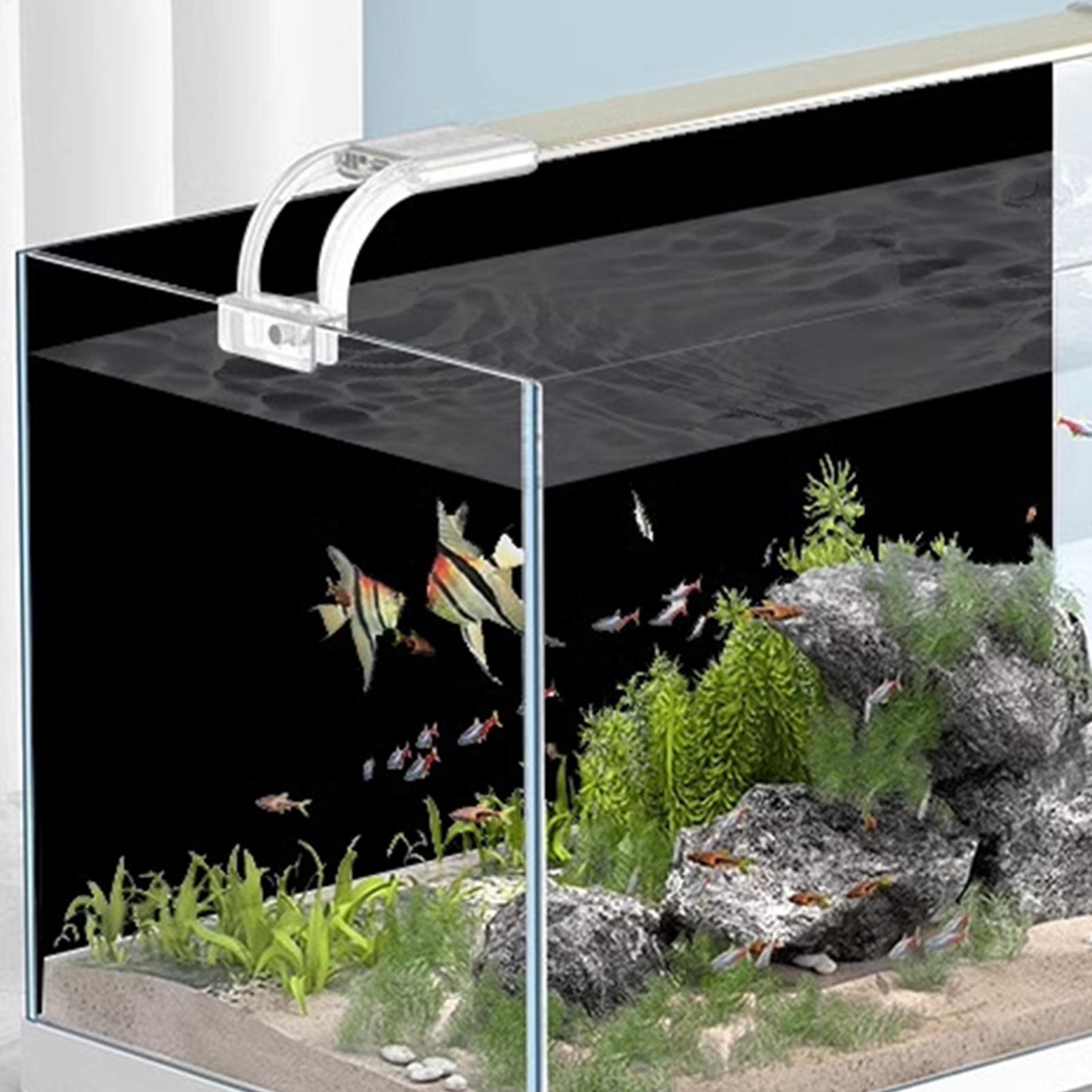 Balık Tankı Arka Planı Statik  - Aquarium Fish Poster incelemesi ve fiyatı
