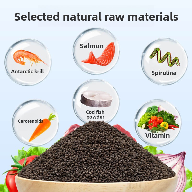 DEERA Palyaço Balığı ve Tang Y - All Fish In Aquarium incelemesi ve fiyatı