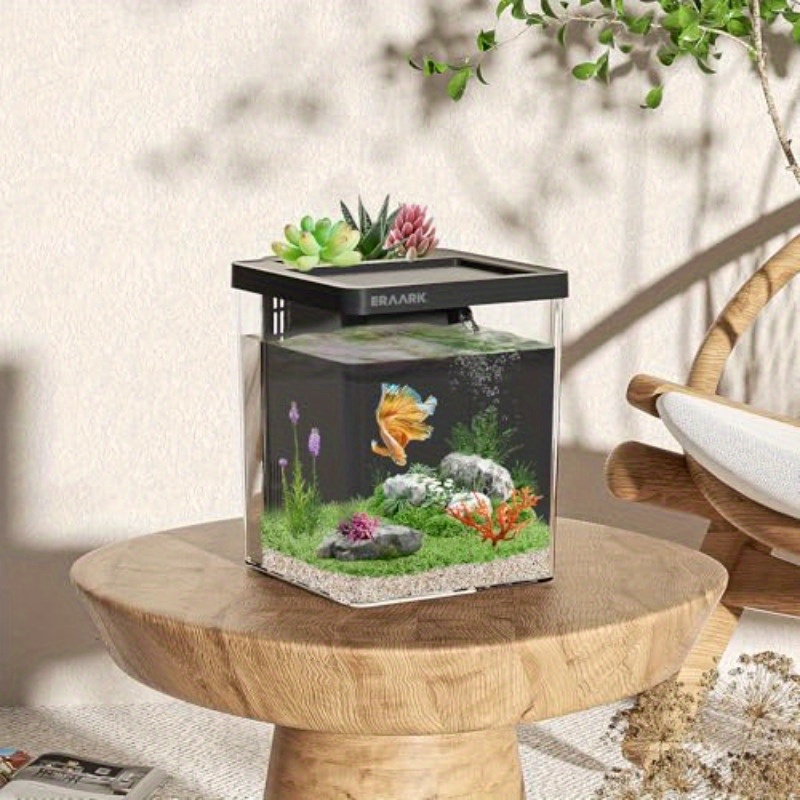Ofis/Ev Masaüstü Akvaryumu Fil - Aquarium Fish For Beginners incelemesi ve fiyatı