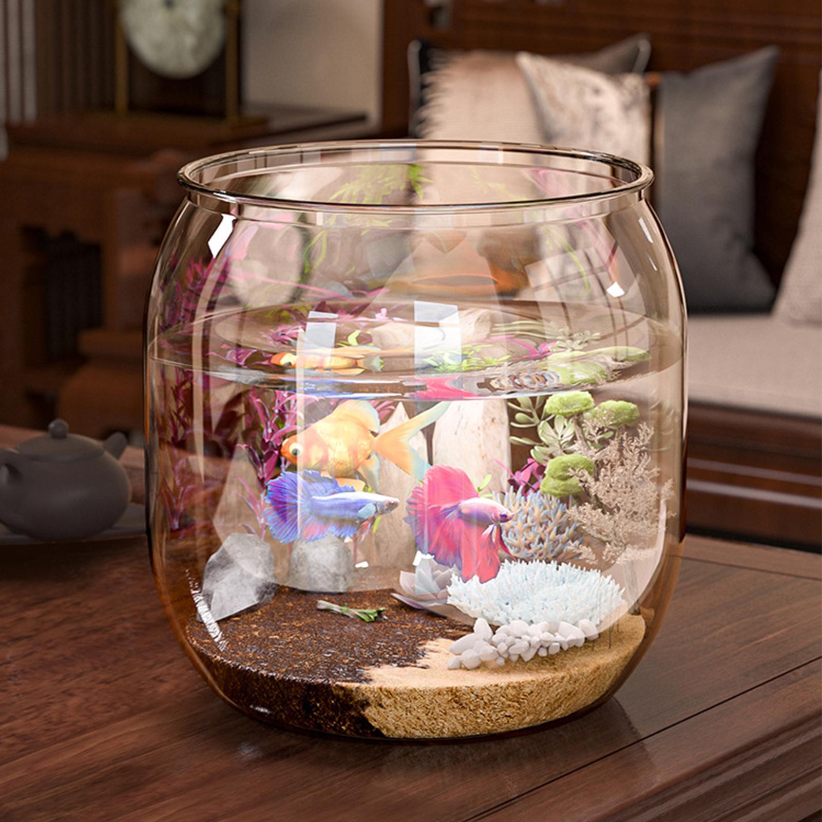 Mini Balık Kase Dekoratif Şeff - Aquarium Fish Restaurant incelemesi ve fiyatı