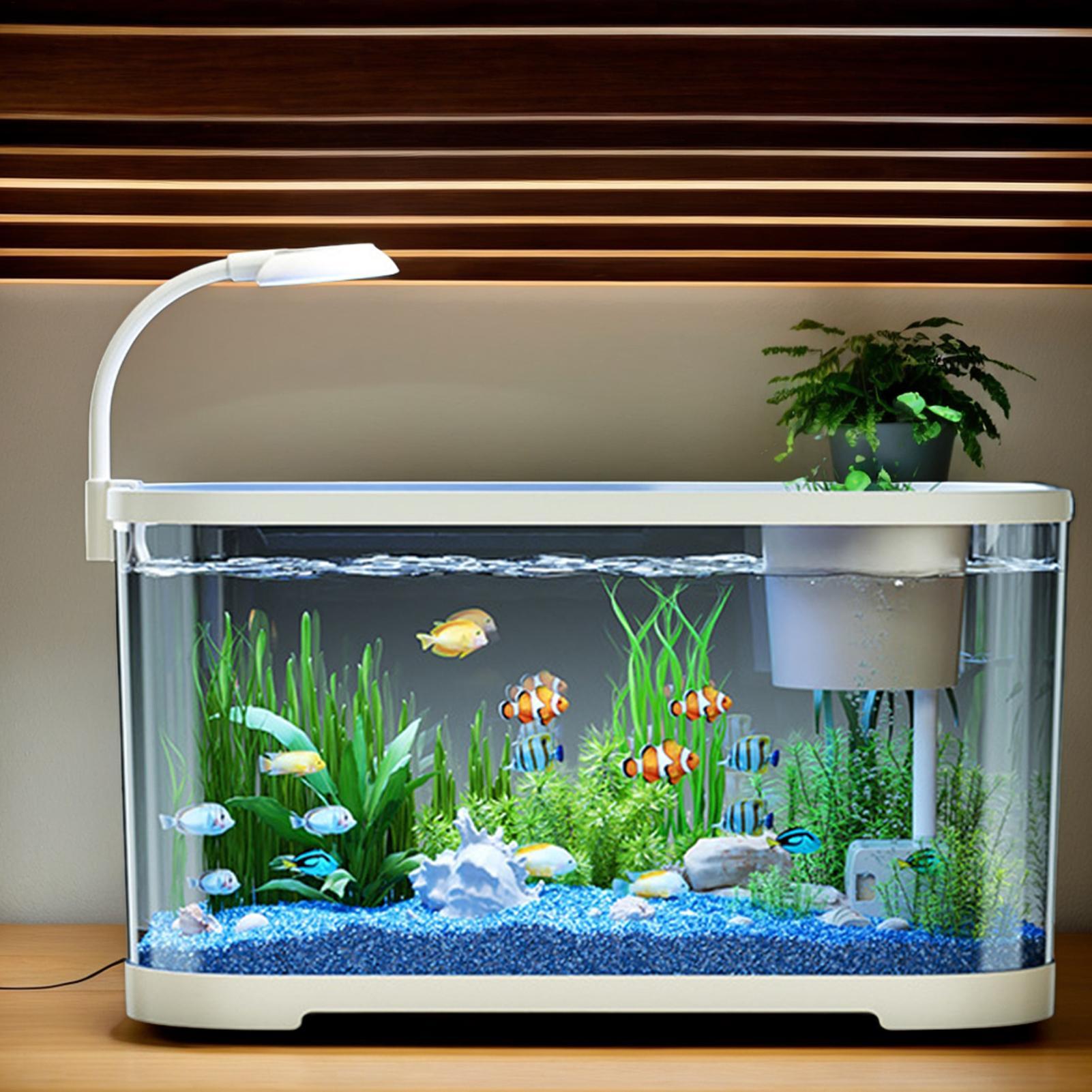 Akvaryum Kiti Başlangıç Betta  - Aquarium Fish For Beginners incelemesi ve fiyatı