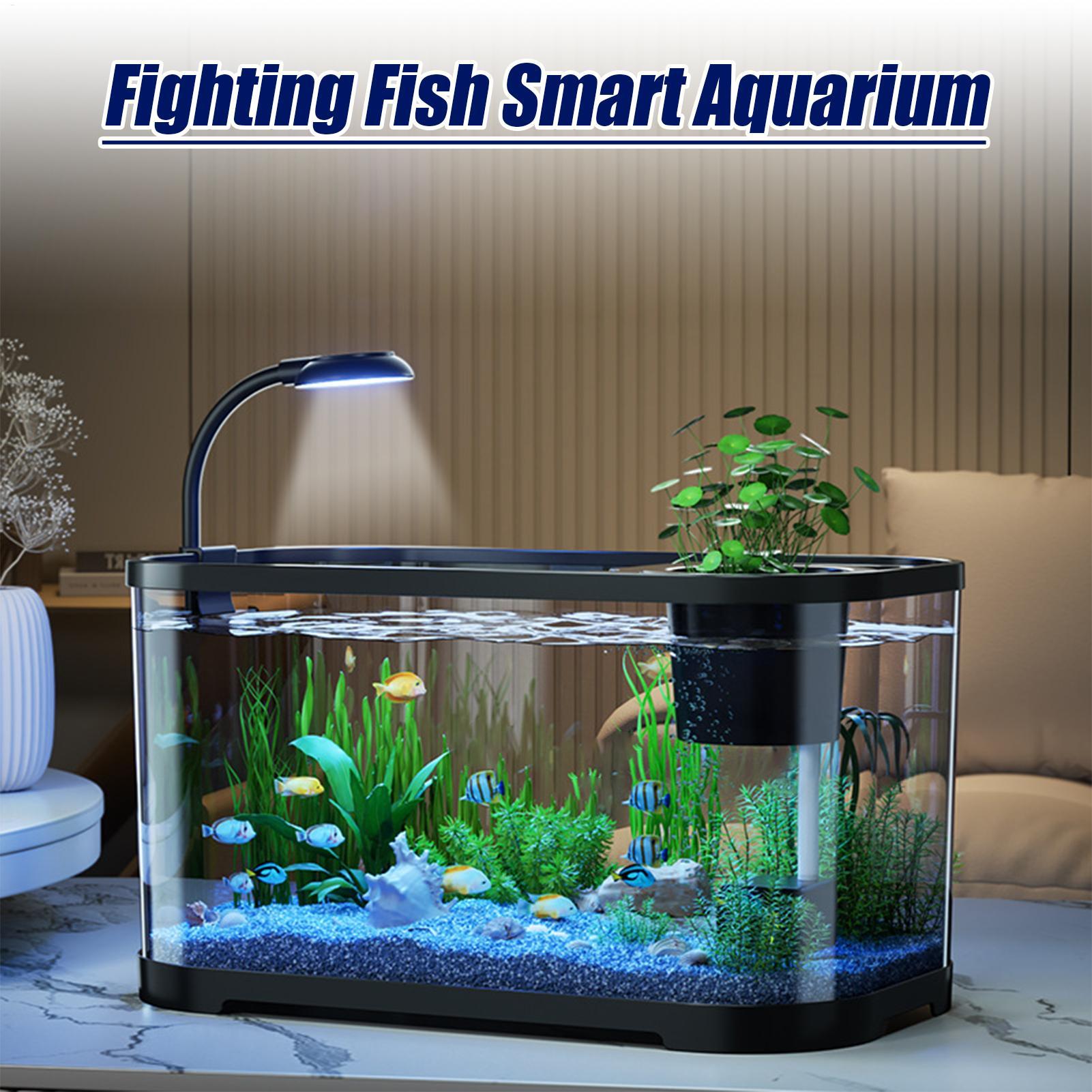 Akvaryum Kiti Başlangıç Betta  - Aquarium Fish For Beginners incelemesi ve fiyatı