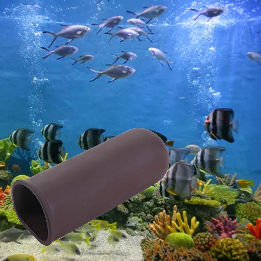 Yeni balık tankı mağara akvary - Aquarium Fish For Beginners incelemesi ve fiyatı