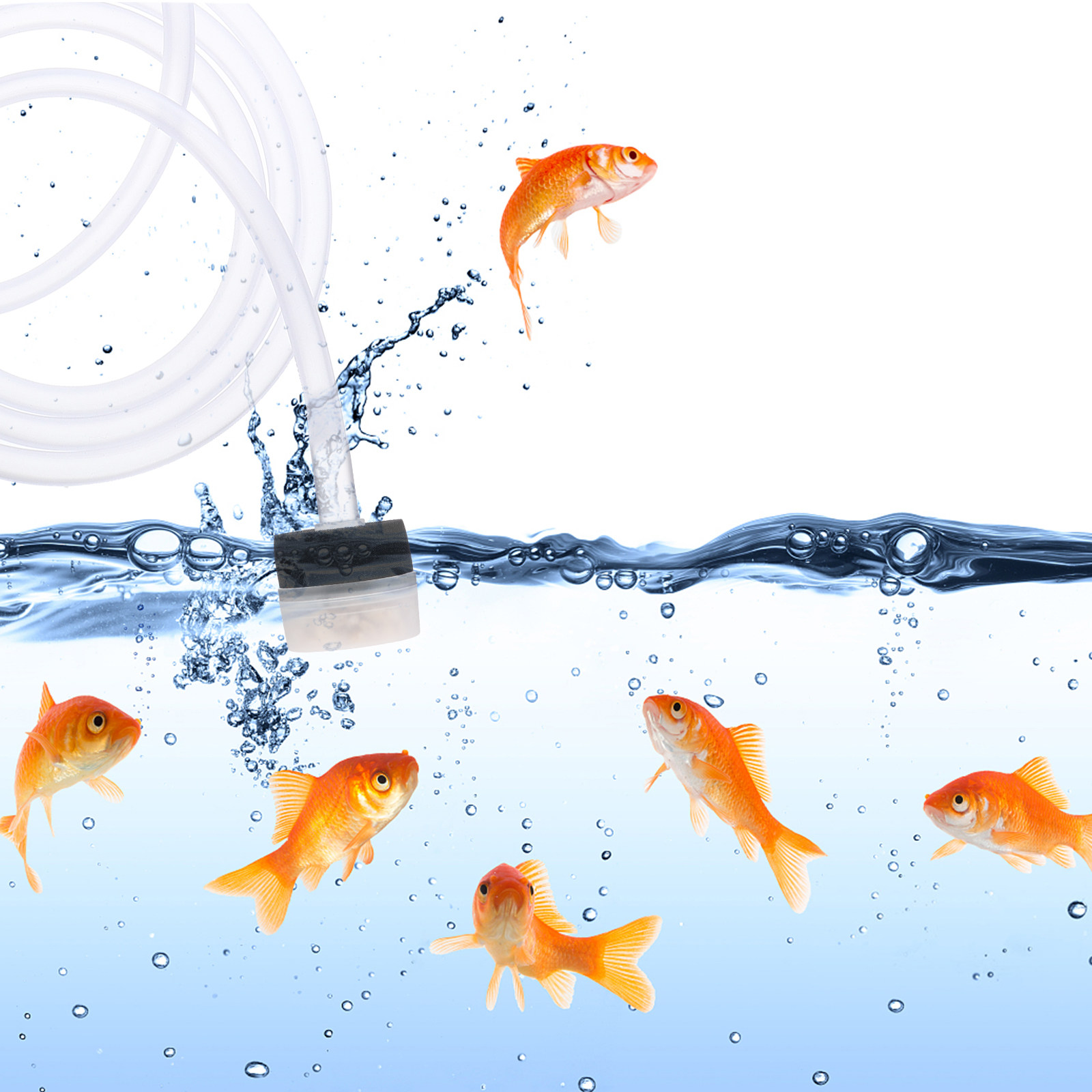3 adet Premium silindirik süng - Aquarium Fish Long incelemesi ve fiyatı