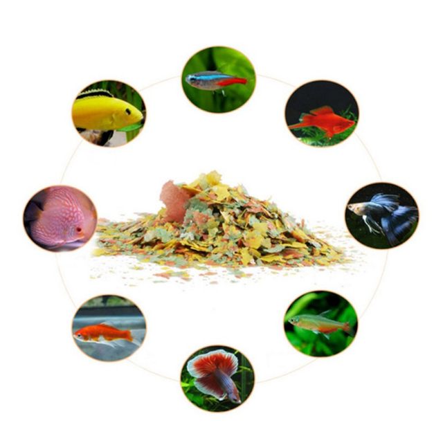40g Balık Yemi Boyası ve Parla - Fish Food Flake incelemesi ve fiyatı