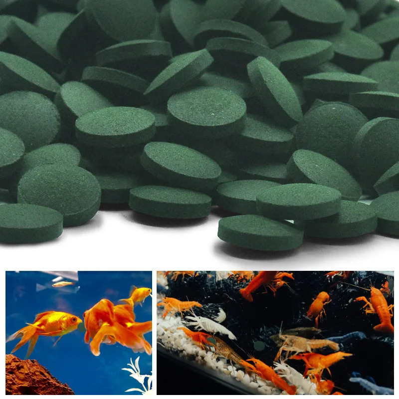 100/500/1000 adet Spirulina ge - Fish Food Flake incelemesi ve fiyatı
