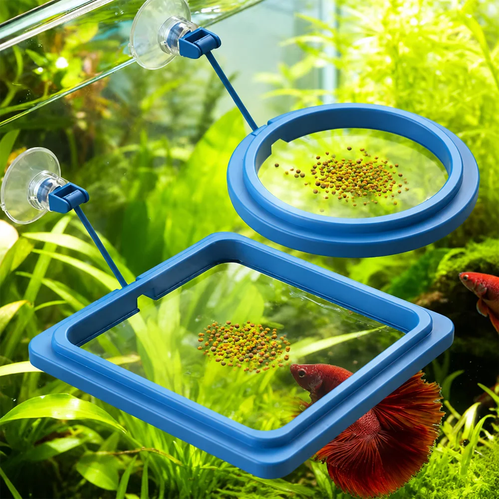 Betta Balık Yemi Yüzen Mini Pe - Fish Food Flake incelemesi ve fiyatı