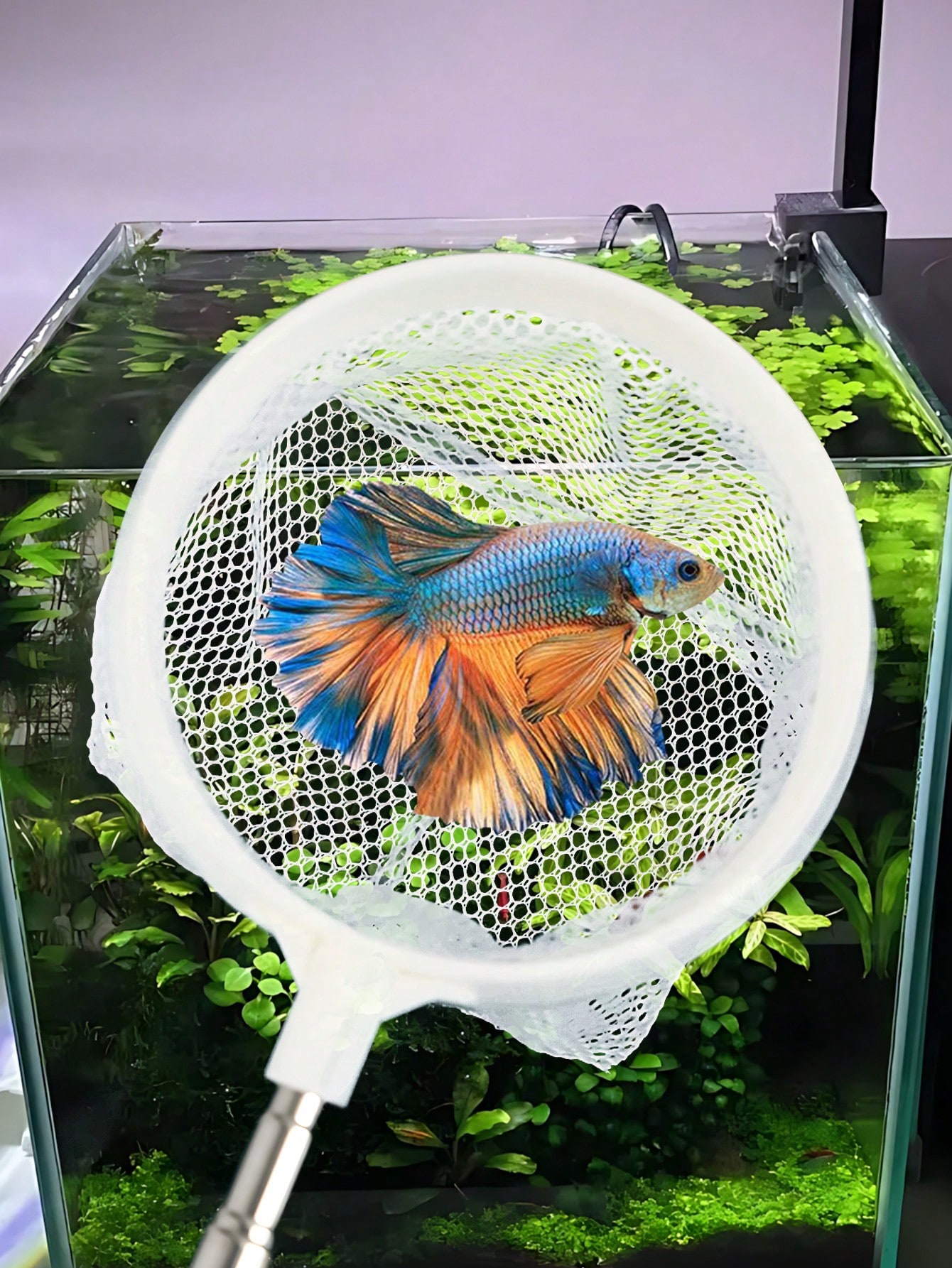 Akvaryum Balık Ağı - Balık Yav - Fish Net Handle incelemesi ve fiyatı