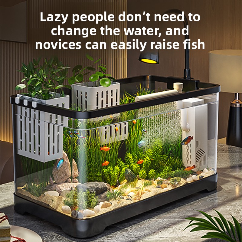 2026 Hepsi Bir Arada Akvaryum  - All Fish In Aquarium incelemesi ve fiyatı