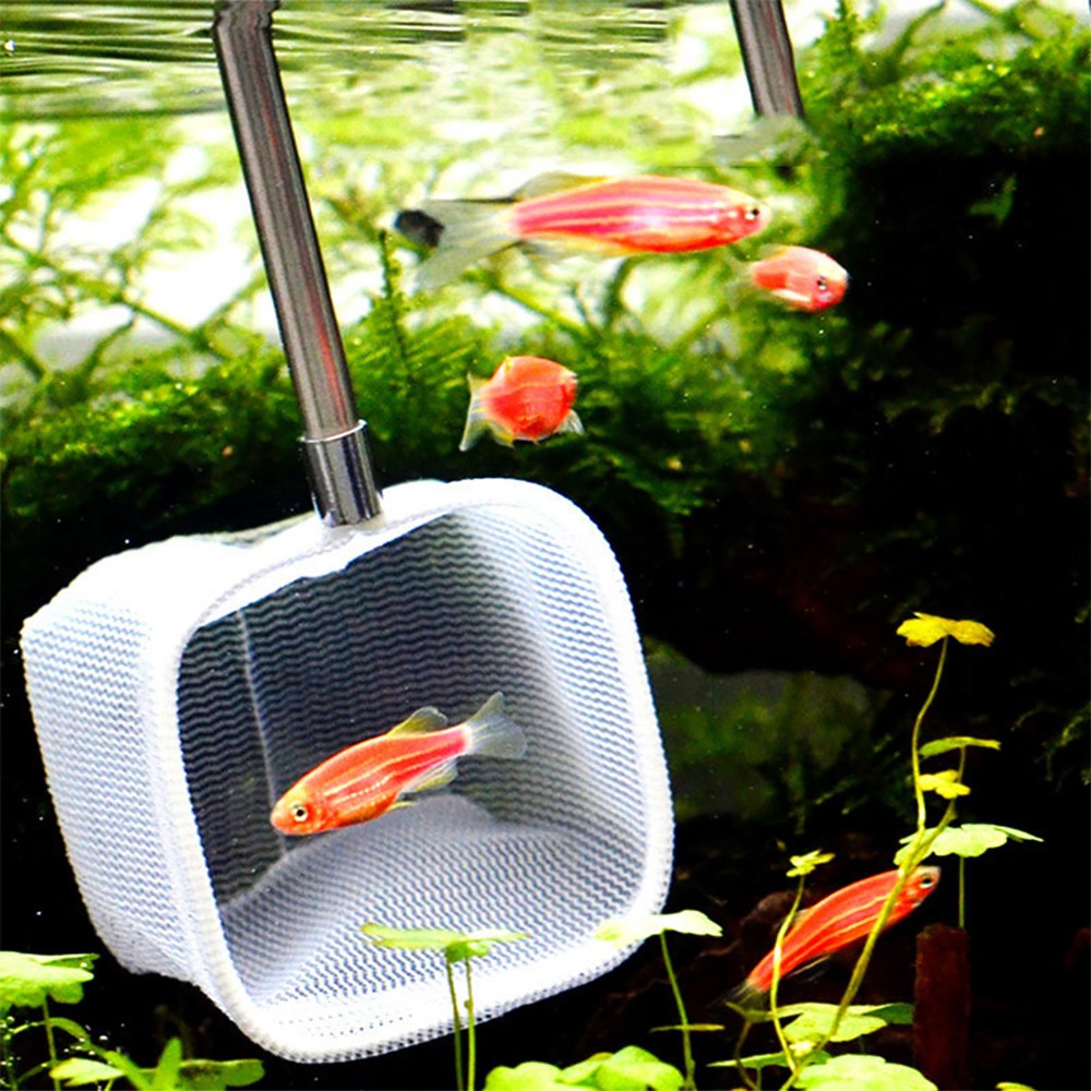 Paslanmaz Çelik Saplı Uzatılab - Fish Net Handle incelemesi ve fiyatı