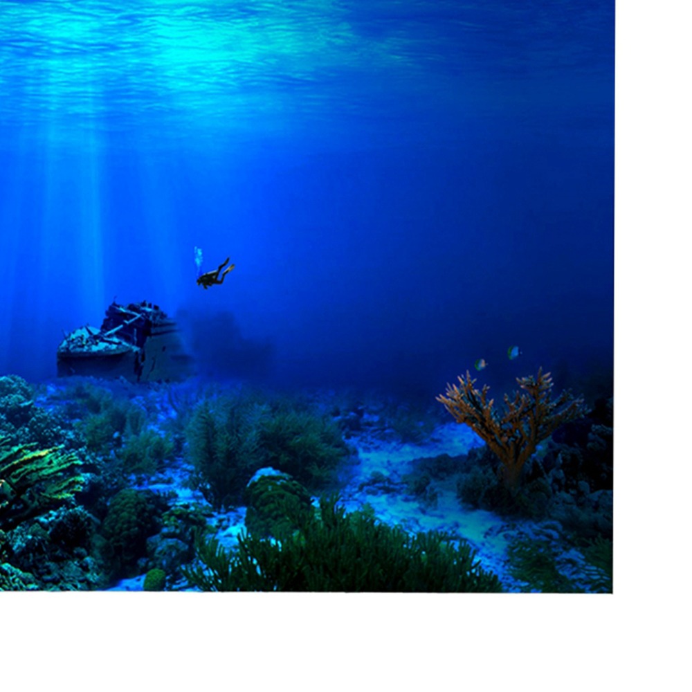 PVC Akvaryum Arka Plan Posteri - Aquarium Fish Poster incelemesi ve fiyatı