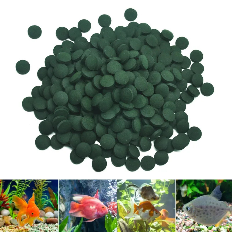 50-300 Adet Yüksek Saflıkta Sp - Fish Food Flake incelemesi ve fiyatı