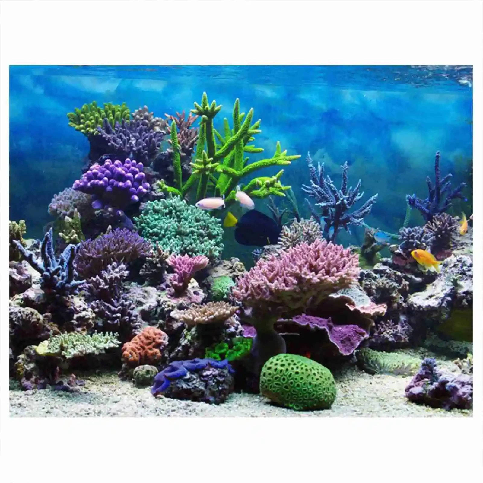 3D akvaryum manzara Poster Rai - Aquarium Fish Poster incelemesi ve fiyatı