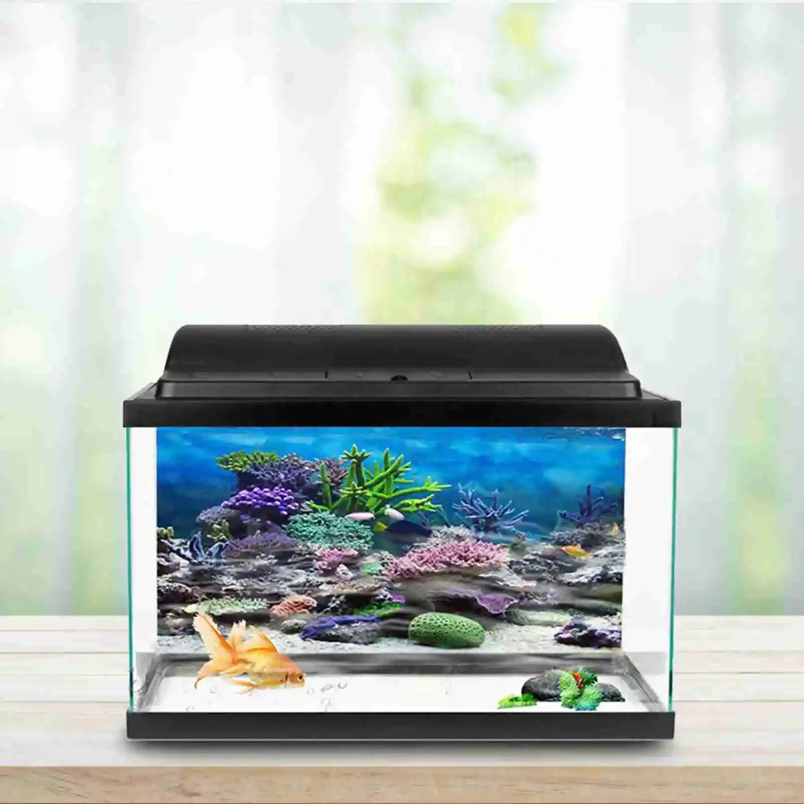 3D akvaryum manzara Poster Rai - Aquarium Fish Poster incelemesi ve fiyatı