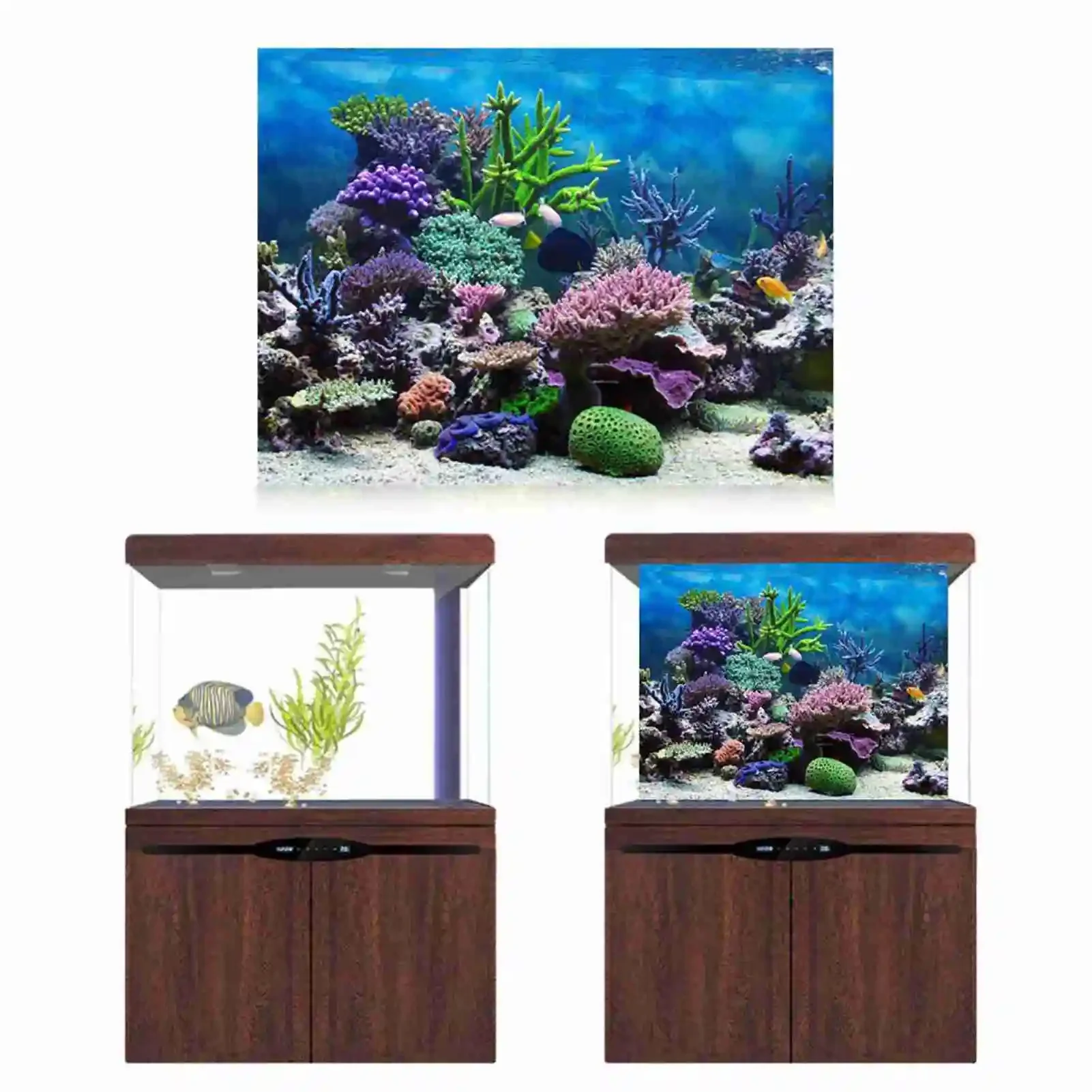 3D akvaryum manzara Poster Rai - Aquarium Fish Poster incelemesi ve fiyatı