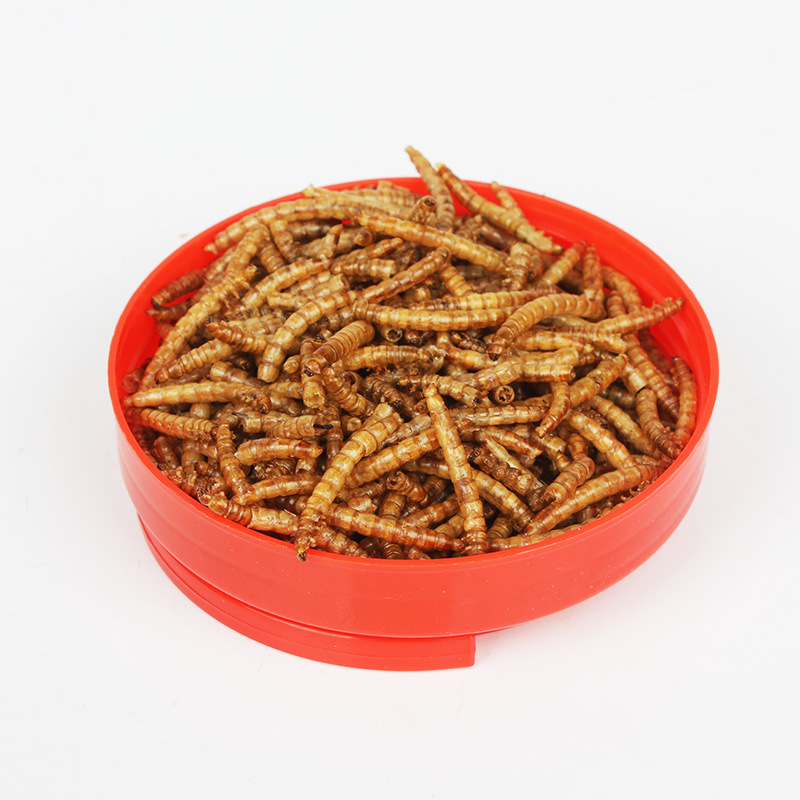SW Çoklu Evcil Hayvan Böcek Öd - Fish Food Flake incelemesi ve fiyatı