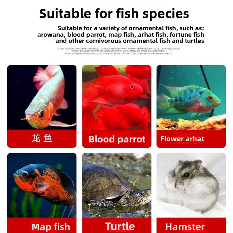 SW Çoklu Evcil Hayvan Böcek Öd - Fish Food Flake incelemesi ve fiyatı