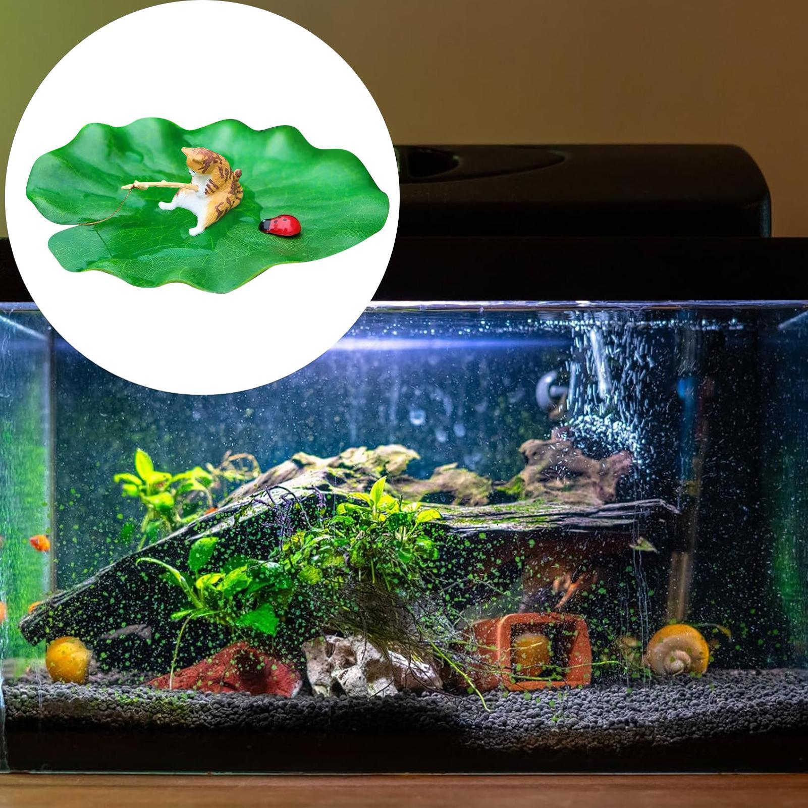 Akvaryum Dekoru Yüzen Kedi Bal - Aquarium Fish For Beginners incelemesi ve fiyatı