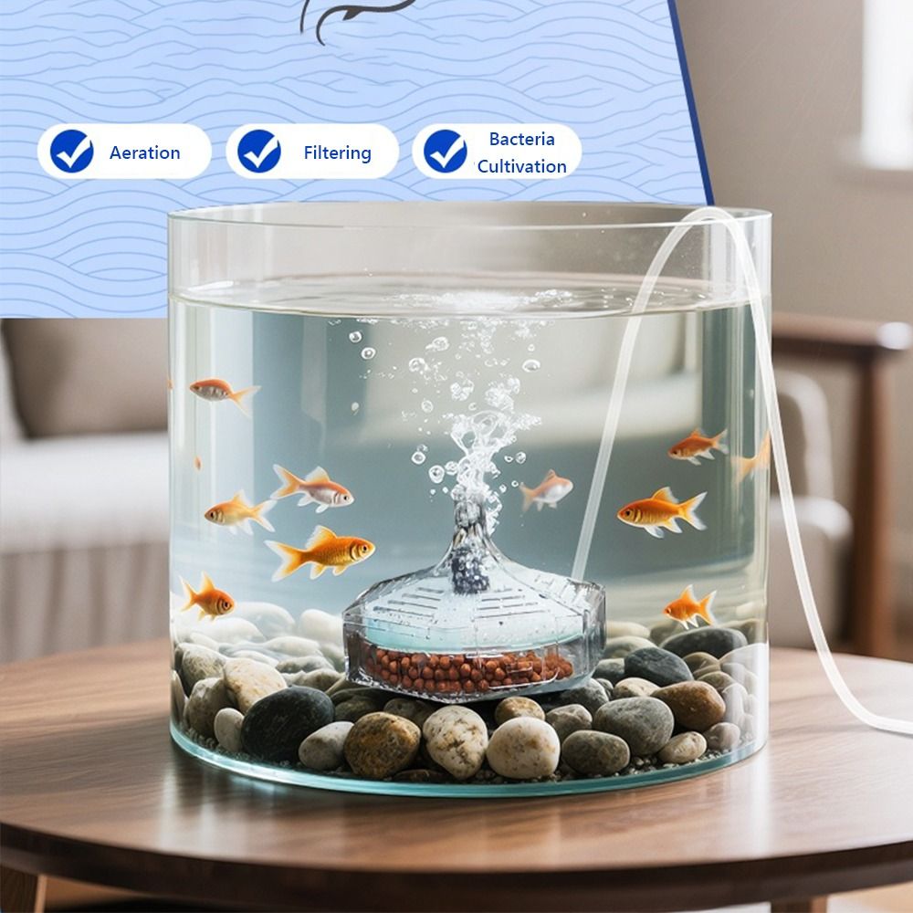 Yeni Taşınabilir Akvaryum Balı - Aquarium Fish For Beginners incelemesi ve fiyatı