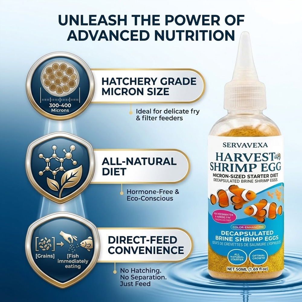 Yüksek Proteinli Balık Yemi, B - Fish Food Flake incelemesi ve fiyatı