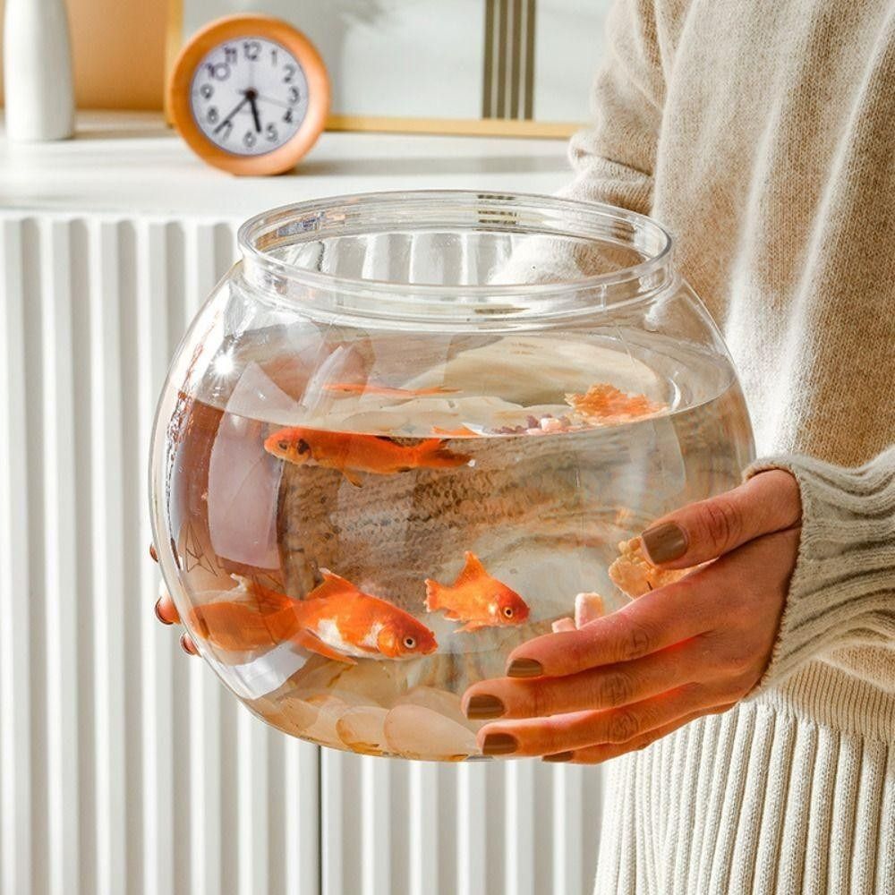 Yeni Şeffaf Balık Tankı Yuvarl - Aquarium Fish For Beginners incelemesi ve fiyatı
