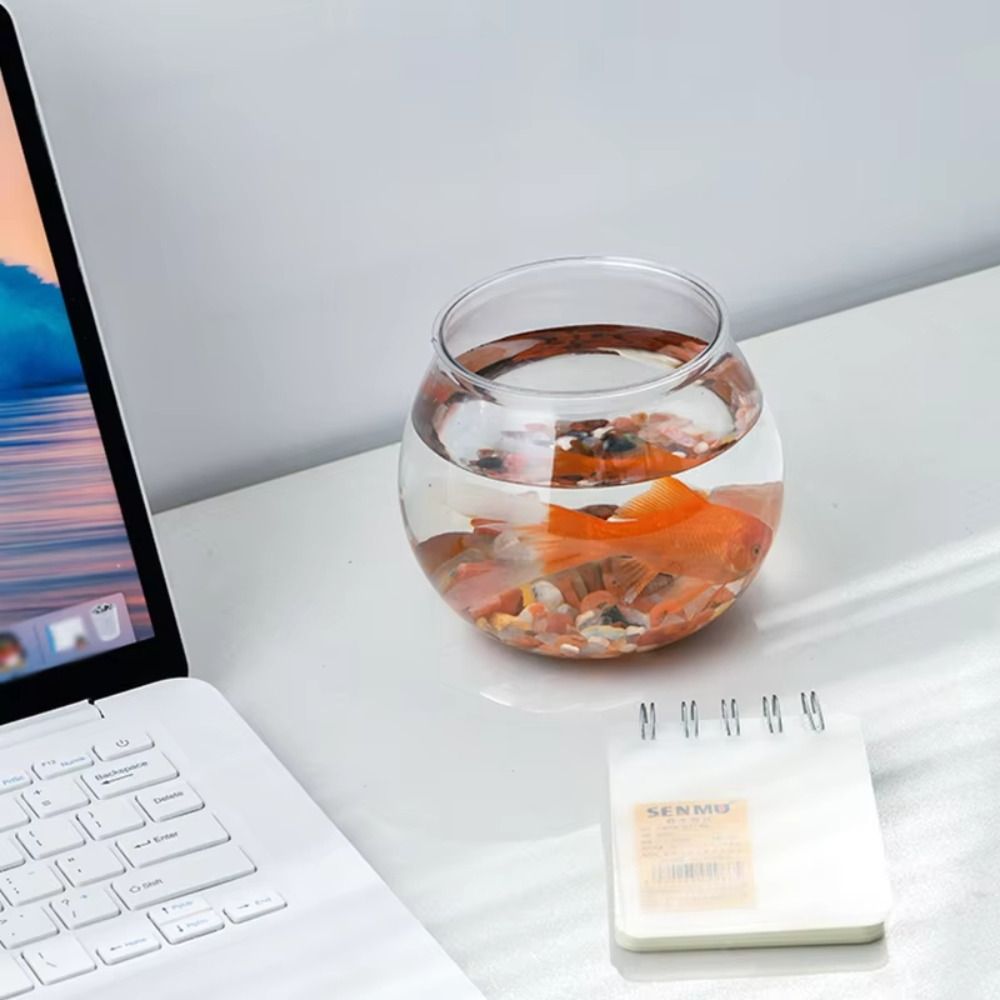 Yeni Şeffaf Balık Tankı Yuvarl - Aquarium Fish For Beginners incelemesi ve fiyatı