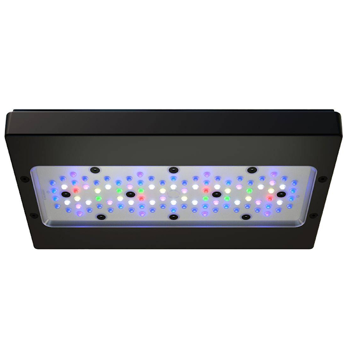 A8 PRO III Max ve Blue 245W Ta - Aquarium Fish Electric incelemesi ve fiyatı